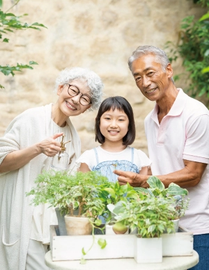 孫へのプレゼント選びを楽しめる